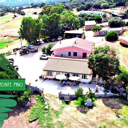 Agriturismo Monte Pino Telti Ngoại thất bức ảnh