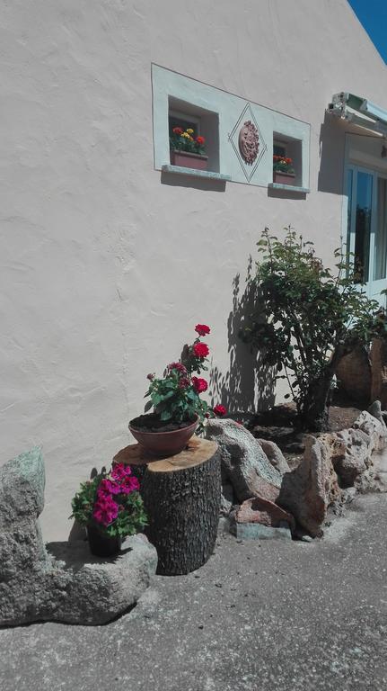 Agriturismo Monte Pino Telti Ngoại thất bức ảnh